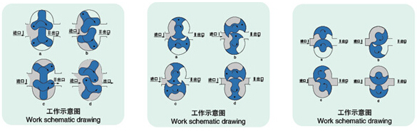 LQ系列卫生级凸轮转子泵结构图