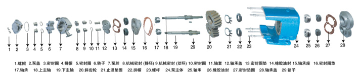 LQ系列卫生级凸轮转子泵转子的形式