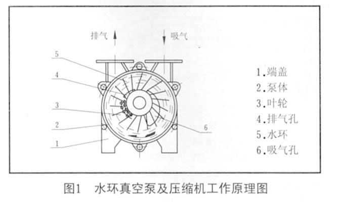 图1 水环真空泵及压缩机工作原理图